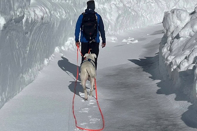 Sportwissenschaften Hund Ausbildung ATM - Hund und Mensch beim Schneewandern im Gebirge