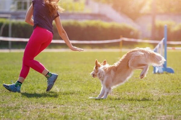 Sportwissenschaften Hund Ausbildung ATM - Hund und Besitzer im Agility Wettkampf