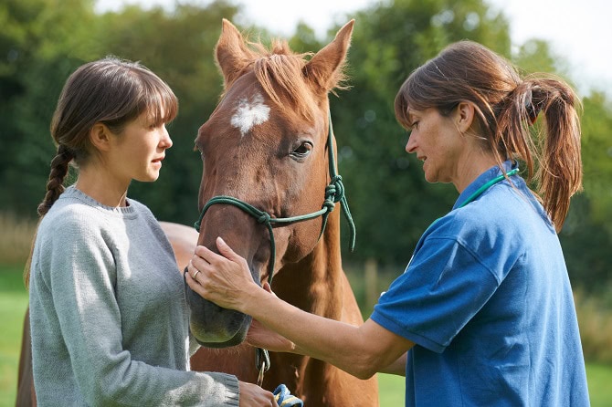 Chiropraktik Pferd Ausbildung ATM - Dozentin und Schülerin am Pferd