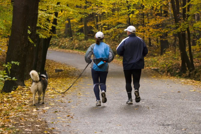 Hundegesundheitstrainer Ausbildung ATM - Mann und Frau joggen mit Hund im Wald