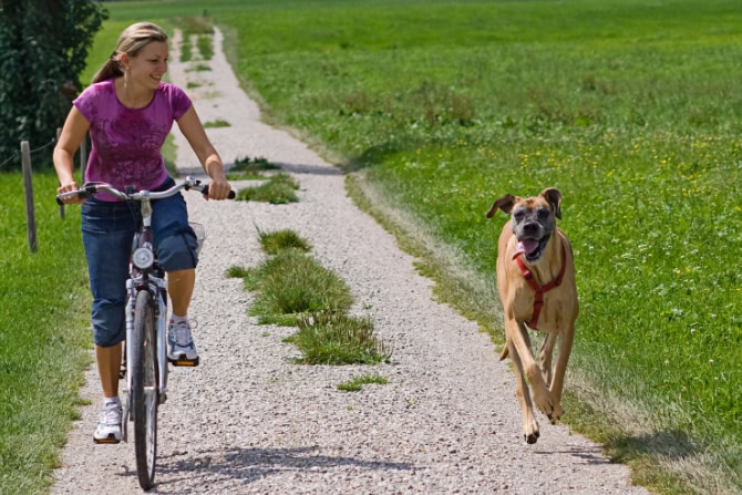 Hundegesundheitstrainer Ausbildung ATM - Frau auf Fahrrad mit Hund