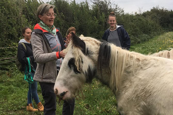 Annabelle Steiger ATM im Jungpferdeprojekt Irland mit Schülern und Pferden