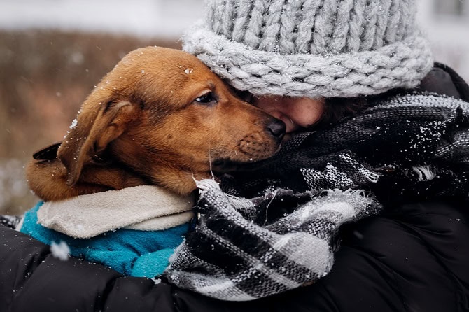 Tierpsychosomatik Ausbildung ATM - Hund auf dem Arm einer Frau kuschelt sich an