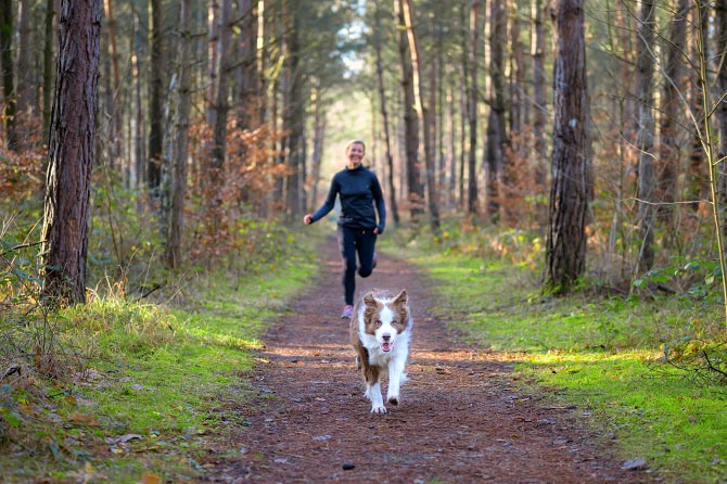 Hundesportwissenschaften Ausbidlung ATM - Frau joggt mit Hund im Wald