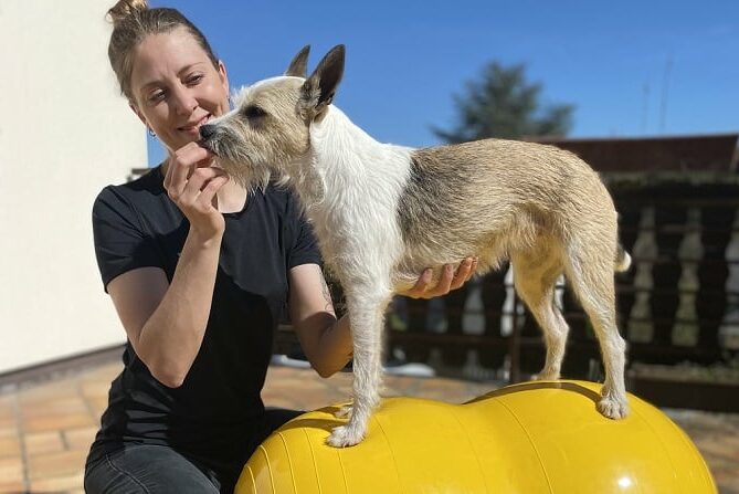 Tierphysiotherapie Ausbildung ATM - Therapeutin mit Hund auf gelbem Ball