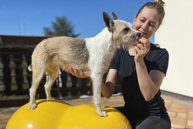 Tierphysiotherapie Ausbildung ATM - Therapeutin mit Hund auf gelbem Ball