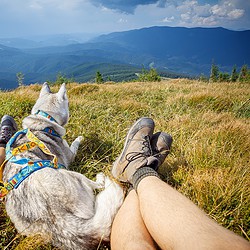 Hundegesundheitstrainer Ausbildung ATM - Hund mit zwei Menschen in den Bergen