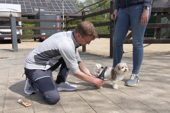 Weiterbildung Orthesen für Hundephysiotherapeuten ATM - Orthese wird von Therapeut an Hund angelegt