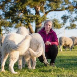 Hundegesundheitstrainer Ausbildung ATM - Dozentin Andrea Döring mit Hunden und Schafen