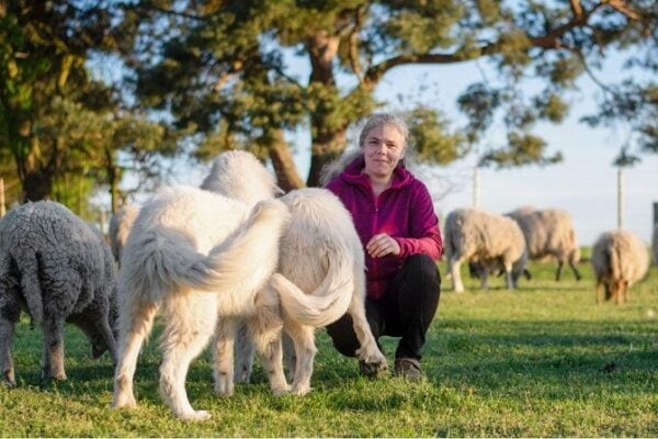 Hundegesundheitstrainer Ausbildung ATM - Dozentin Andrea Döring mit Hunden und Schafen