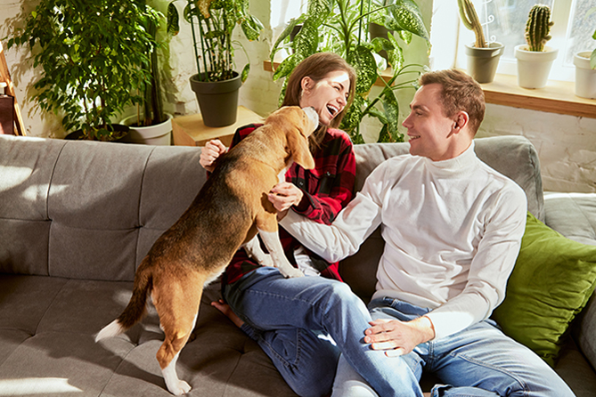 ATM Akademie, Tierheilpraktiker Bio-Psycho-Soziale Hundegesundheit, junges Paar fröhlich mit ihrem Hund auf dem Sofa