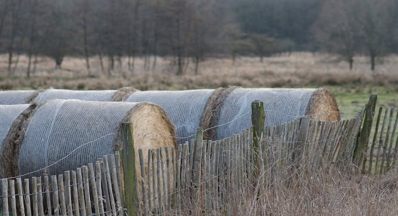 Heu offen gelagert. heu auf Wiese. Holzzaun
