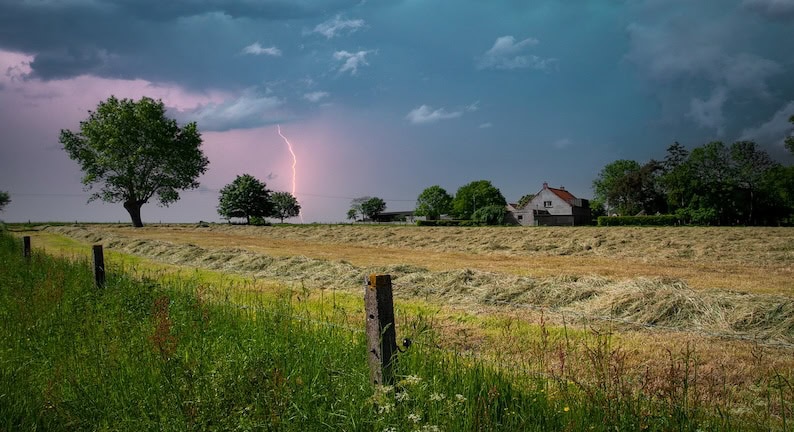 Weide. Gewitter